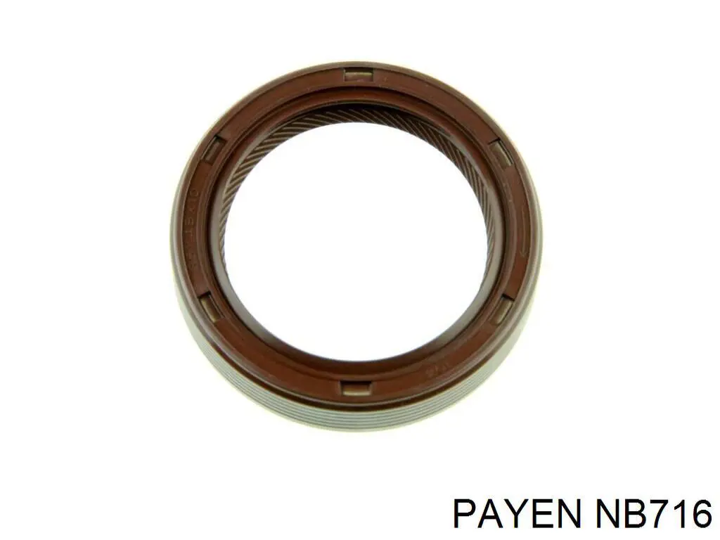 NB716 Payen Vedação dianteira de cambota de motor