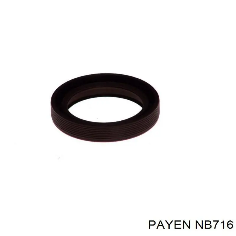 NB716 Payen Vedação dianteira de cambota de motor