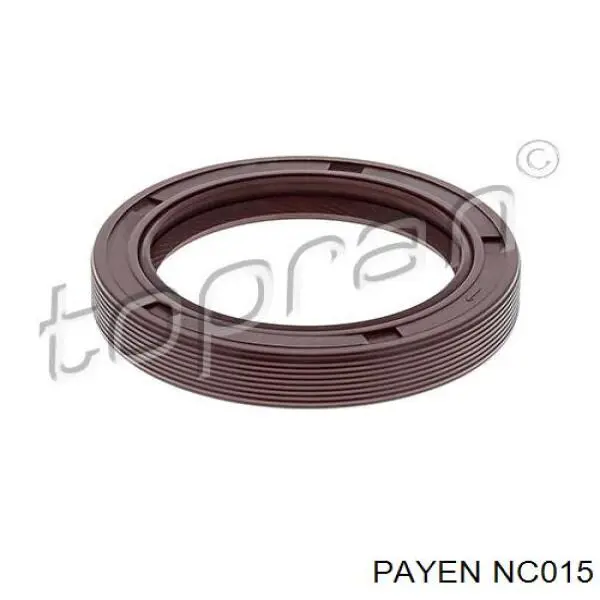NC015 Payen Vedação dianteira de cambota de motor