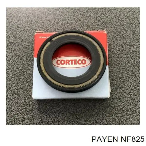 Compre NF825 Payen Bucim do semieixo direito do eixo dianteiro