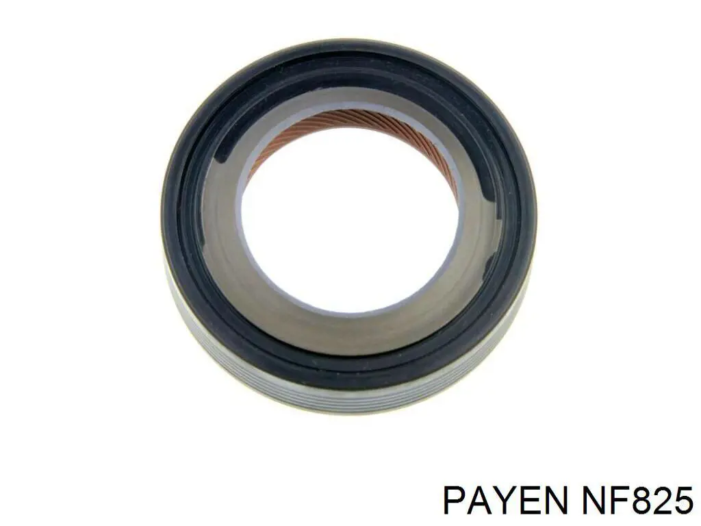 Compre NF825 Payen Bucim do semieixo direito do eixo dianteiro