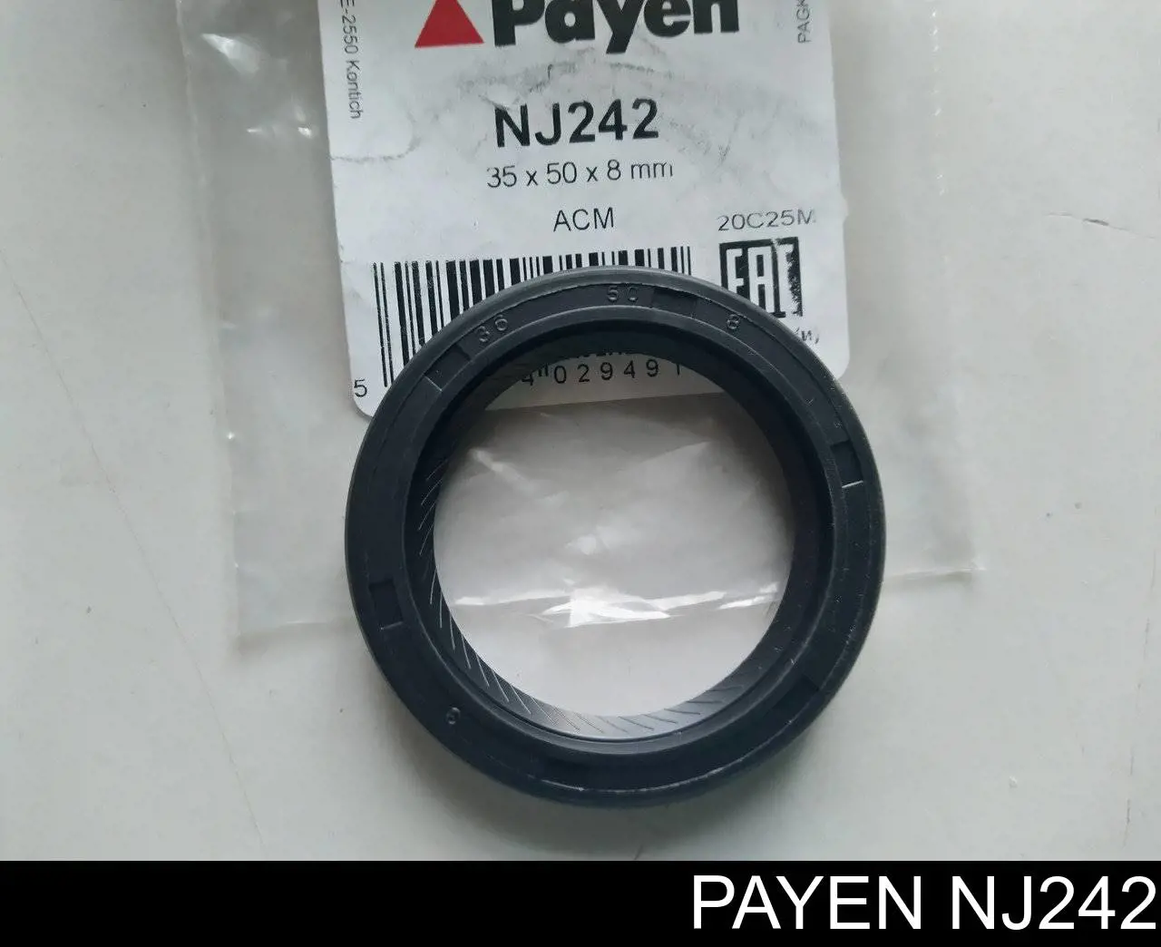 NJ242 Payen Vedação da árvore distribuidora de motor