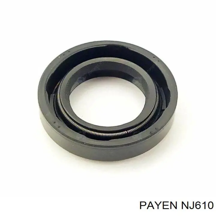 Compre NJ610 Payen Bucim da árvore intermédia (de equilibração) de motor
