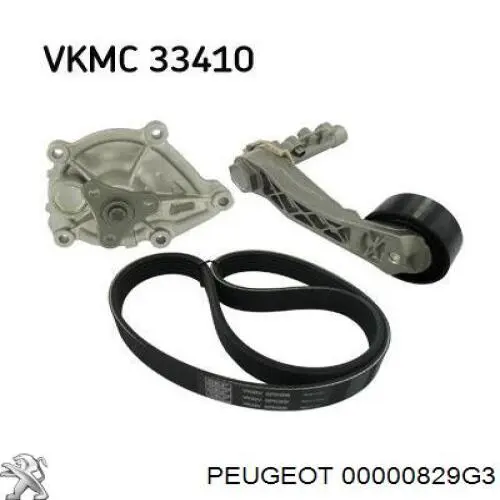 Compre 00000829G3 Peugeot/Citroen Reguladora de tensão da cadeia do mecanismo de distribuição de gás