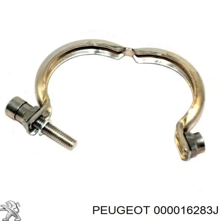 000016283J Peugeot/Citroen Braçadeira de cano derivado de válvula EGR