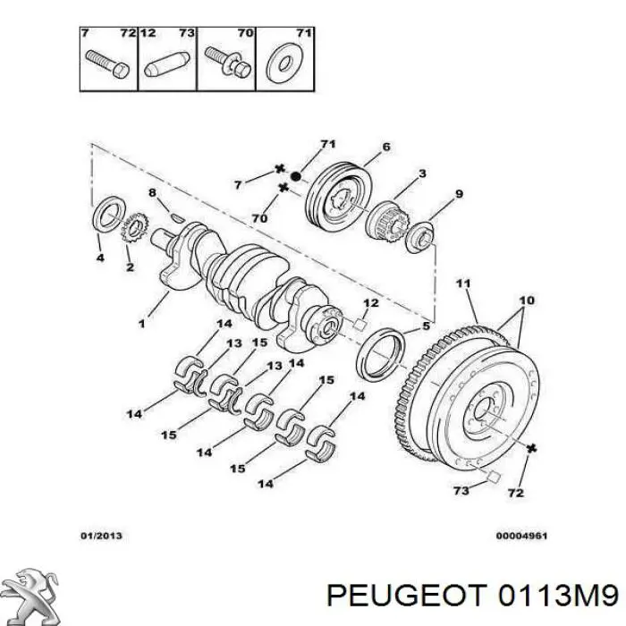 0113M9 Peugeot/Citroen Folhas inseridas principais de cambota, kit, padrão (STD)