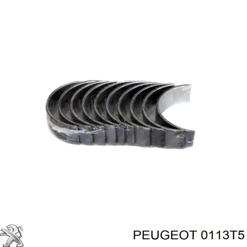0113T5 Peugeot/Citroen Folhas inseridas principais de cambota, kit, padrão (STD)