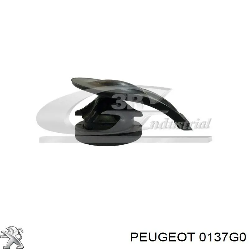 0137G0 Peugeot/Citroen Cápsula de tampa decorativa de motor
