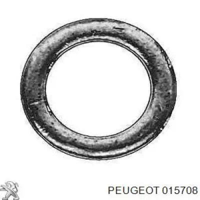 015708 Peugeot/Citroen Vedante de mangueira de fornecimento de óleo de turbina
