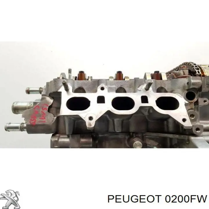 Compre 0200FW Peugeot/Citroen Cabeça de motor (CBC)
