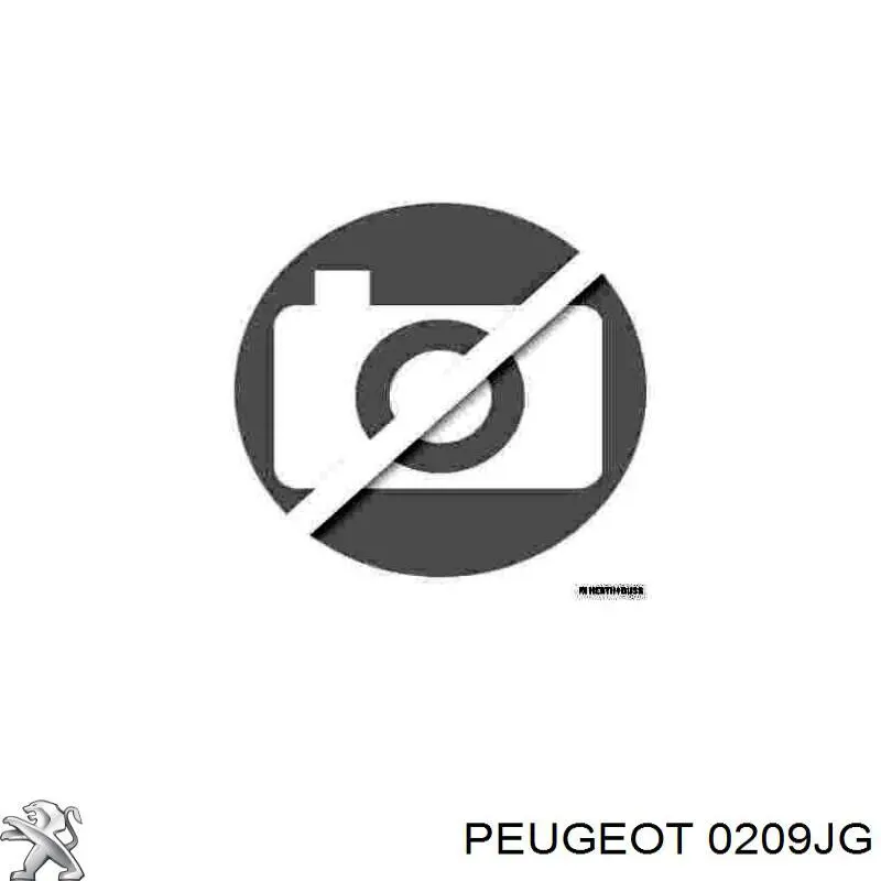 Compre 0209JG Peugeot/Citroen Vedante de cabeça de motor (CBC)