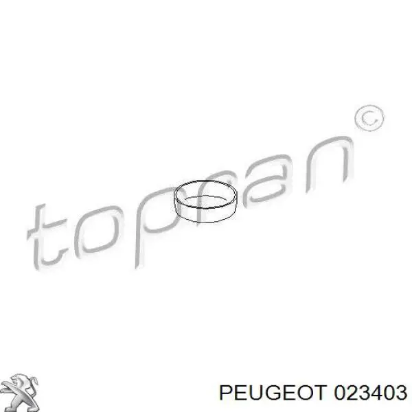 023403 Peugeot/Citroen Tampão CBC/do bloco de cilindros
