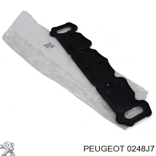 Tampa de válvulas direita Peugeot/Citroen 0248J7 preço, a partir de 49,90 USD