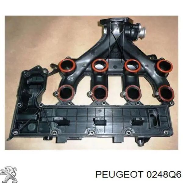 0248Q6 Peugeot/Citroen Tampa de válvulas