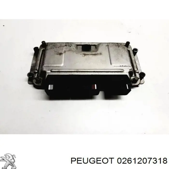 0261207318 Peugeot/Citroen 