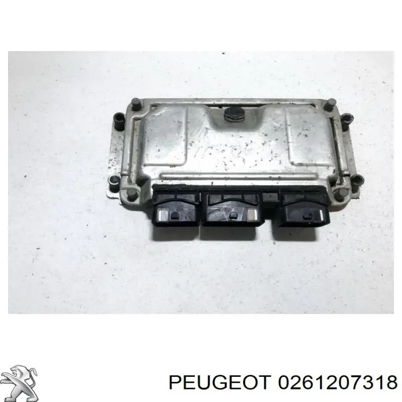  0261207318 Peugeot/Citroen