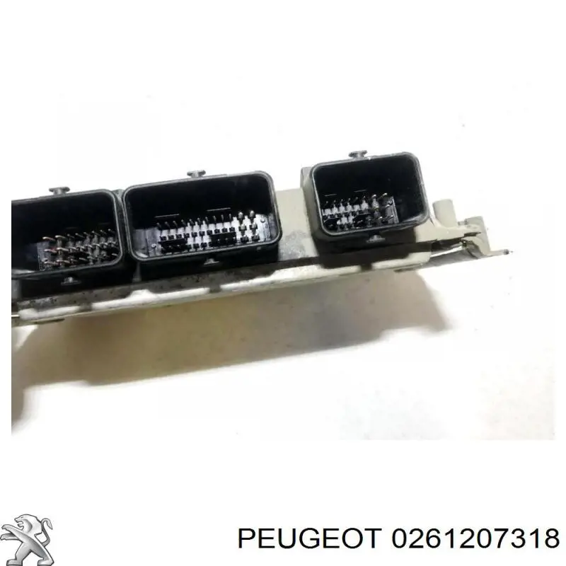  Peugeot/Citroen 0261207318