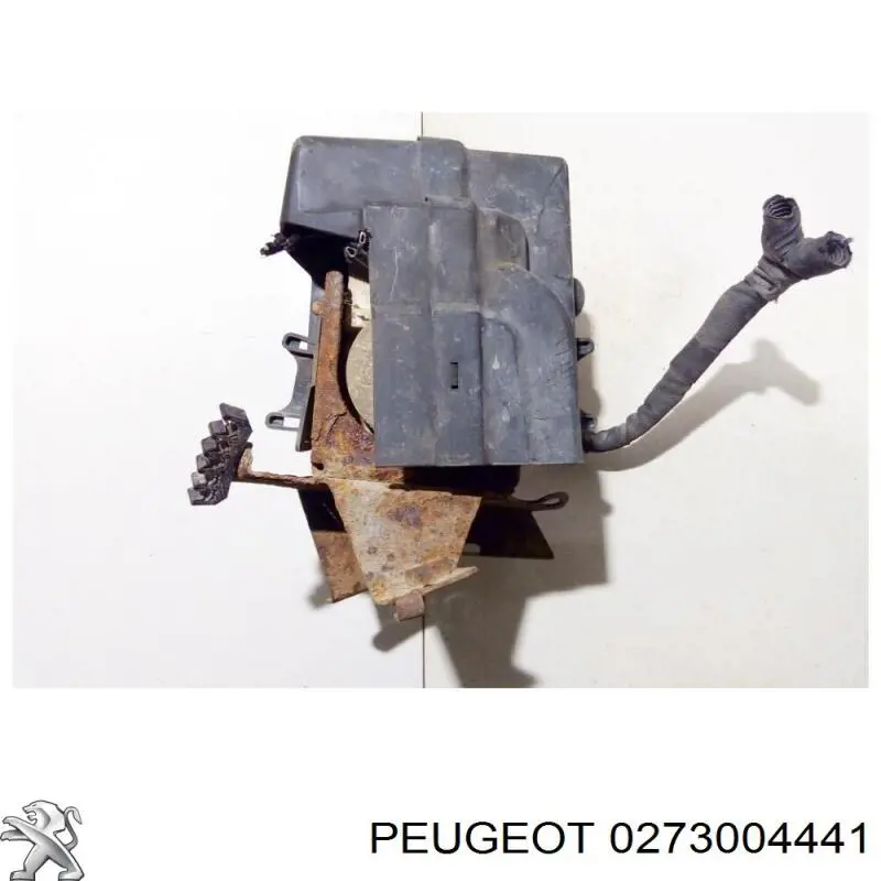 Compre 0273004441 Peugeot/Citroen 