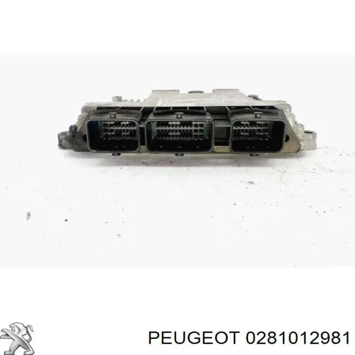 0281012981 Peugeot/Citroen Módulo de direção (Centralina eletrônica) de motor