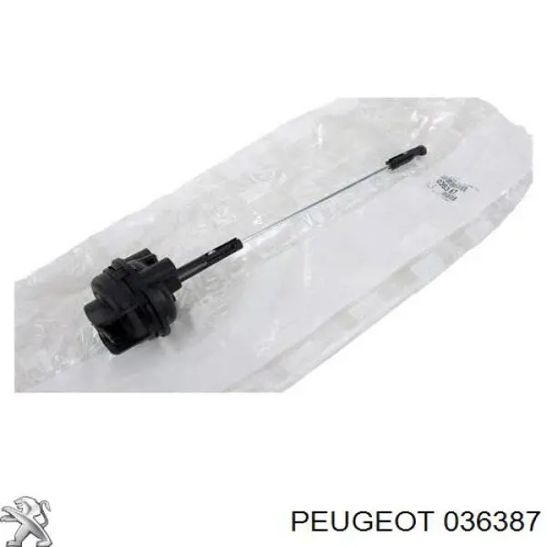 036387 Peugeot/Citroen Válvula (atuador) de controlo de turbina