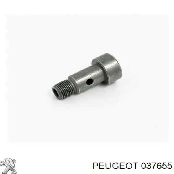 037655 Peugeot/Citroen Parafuso de tubo de turbina de fornecimento de óleo