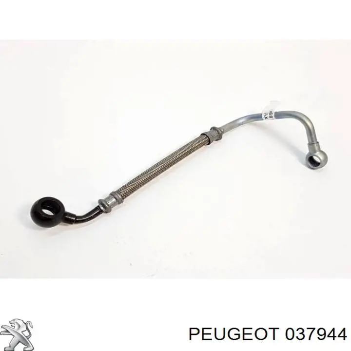 037944 Peugeot/Citroen Tubo (mangueira) de fornecimento de óleo de turbina
