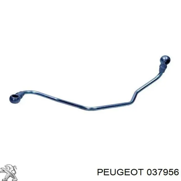 Tubo (mangueira) de fornecimento de óleo de turbina Peugeot/Citroen 037956 preço, a partir de 31,95 USD
