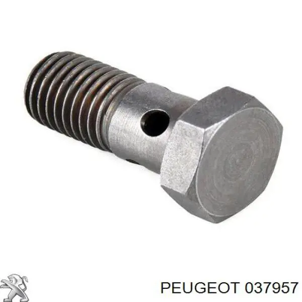 037957 Peugeot/Citroen Parafuso de tubo de turbina de fornecimento de óleo