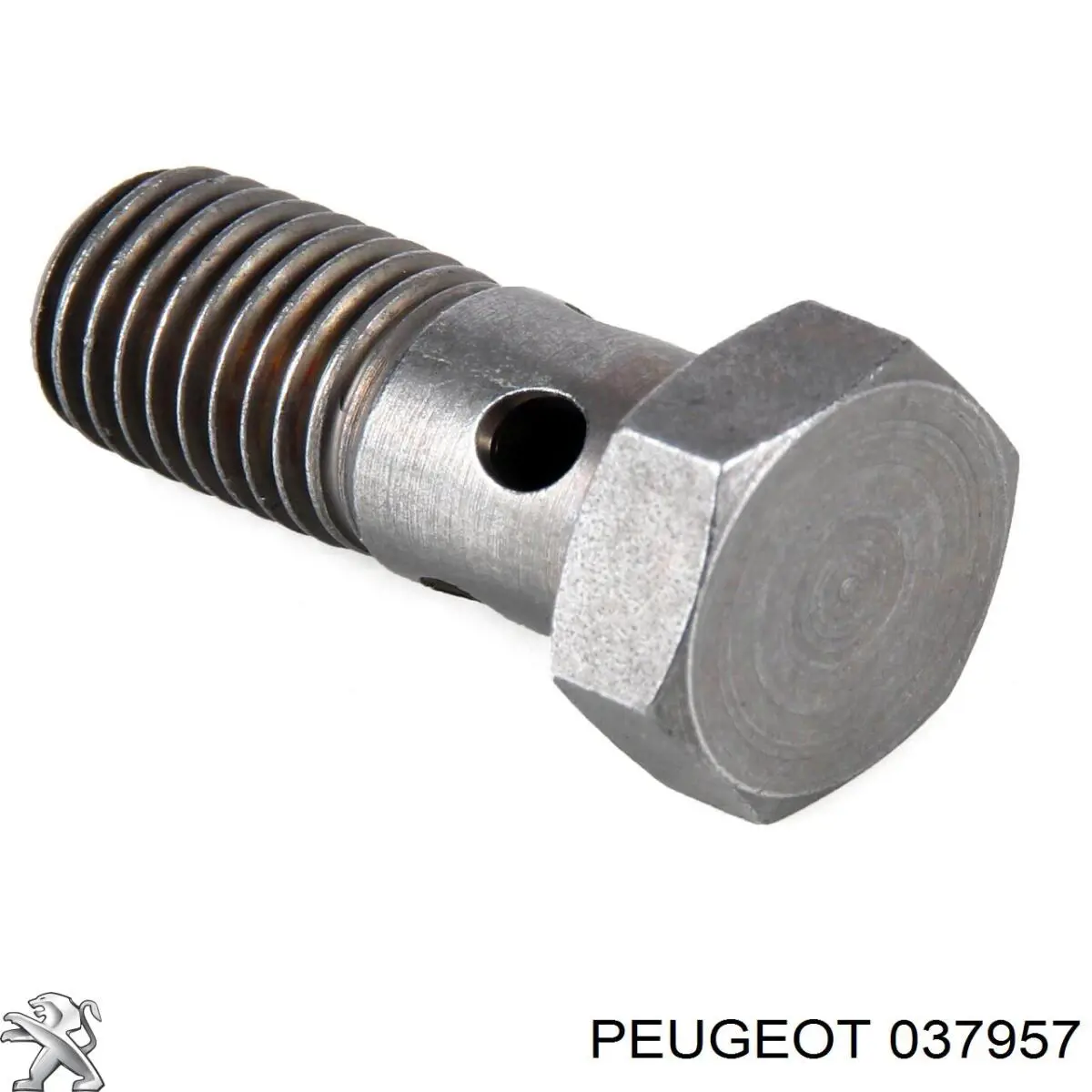 Parafuso de tubo de turbina de fornecimento de óleo Peugeot/Citroen 037957 preço, a partir de 6,37 USD
