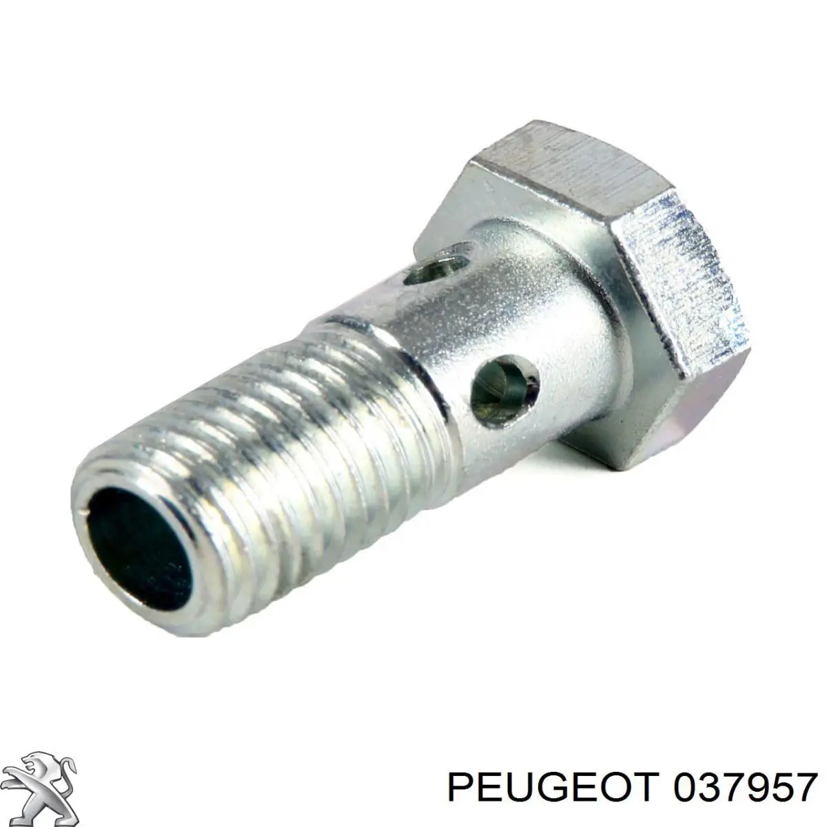 Compre 037957 Peugeot/Citroen Parafuso de tubo de turbina de fornecimento de óleo