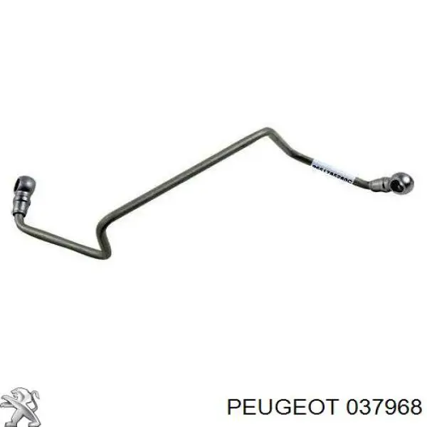 037968 Peugeot/Citroen Tubo (mangueira) de fornecimento de óleo de turbina