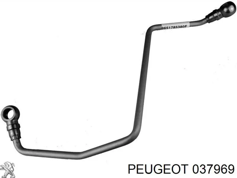 037969 Peugeot/Citroen Tubo (mangueira) de fornecimento de óleo de turbina