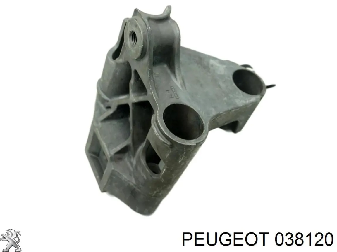 038120 Peugeot/Citroen Tubo (mangueira) de derivação de óleo de turbina