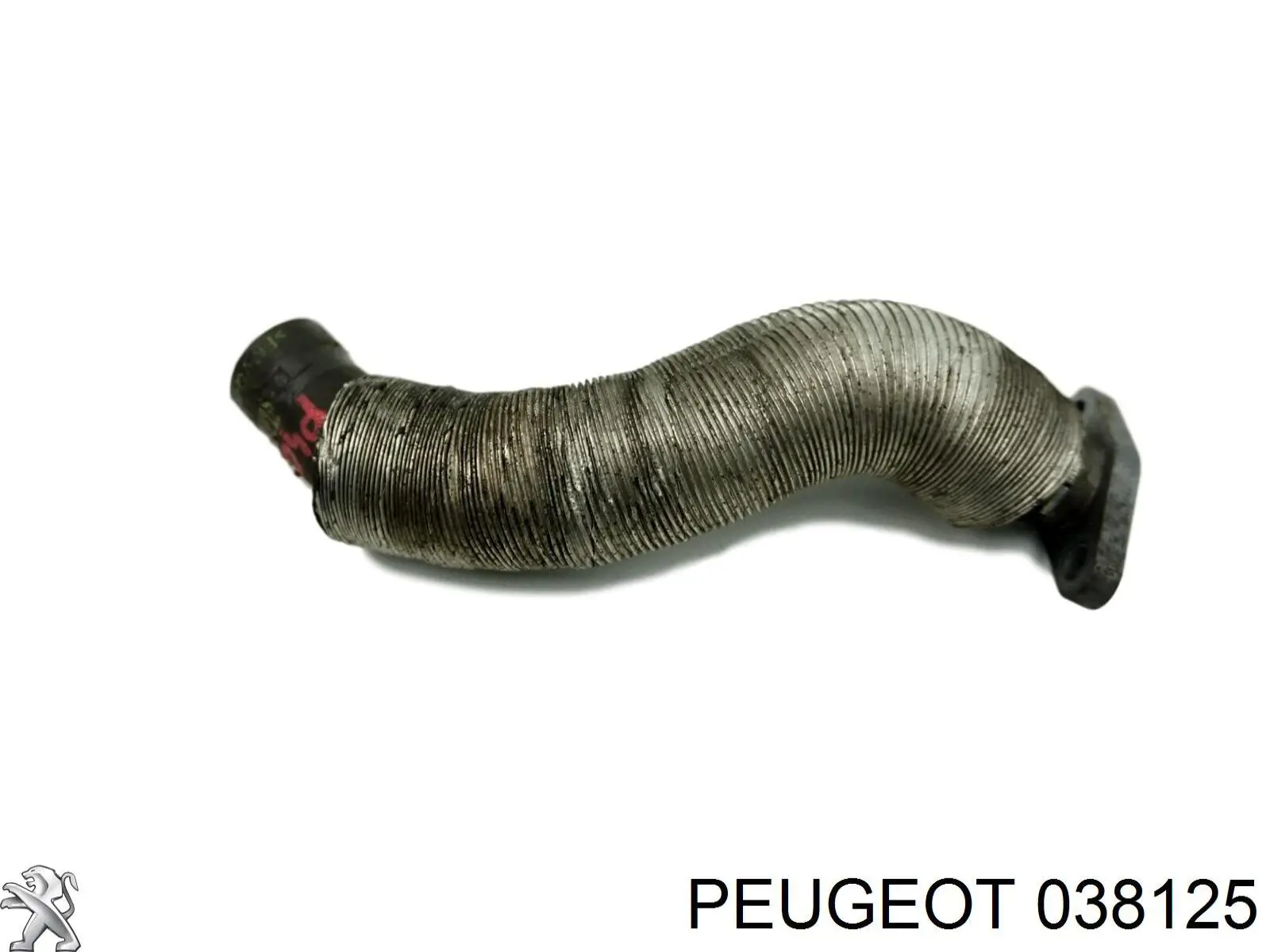 Compre 038125 Peugeot/Citroen Tubo (mangueira) de derivação de óleo de turbina