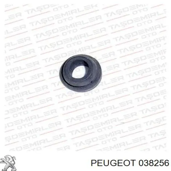 Coxim inferior do radiador Peugeot/Citroen 38256 preço, a partir de 3,09 USD