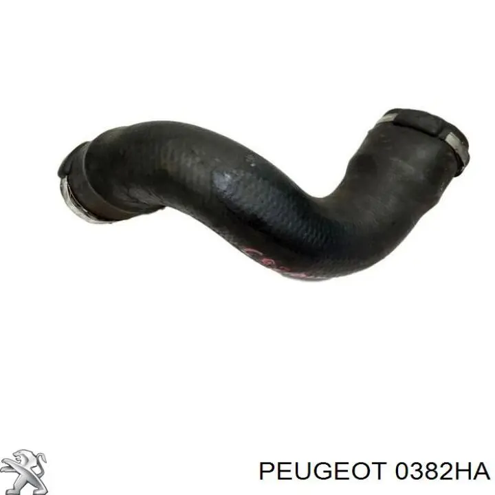Compre 0382HA Peugeot/Citroen Mangueira (cano derivado) de intercooler