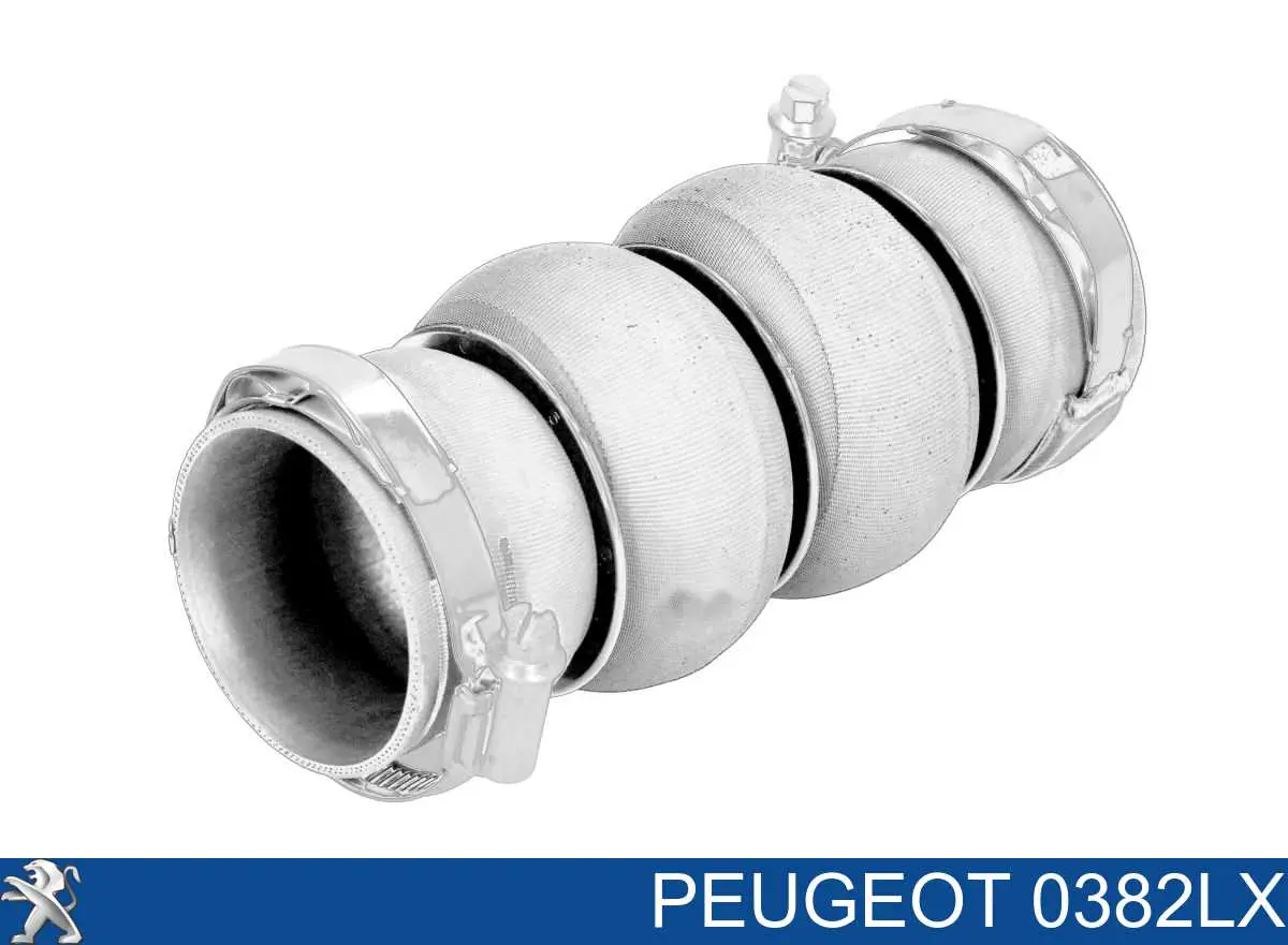 0382LX Peugeot/Citroen Mangueira (cano derivado) de intercooler