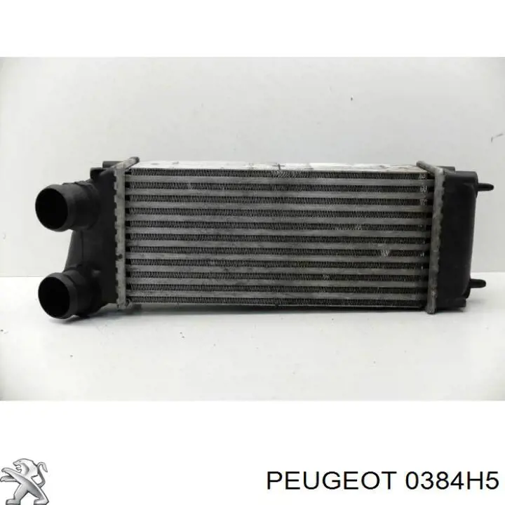 0384H5 Peugeot/Citroen Radiador de intercooler