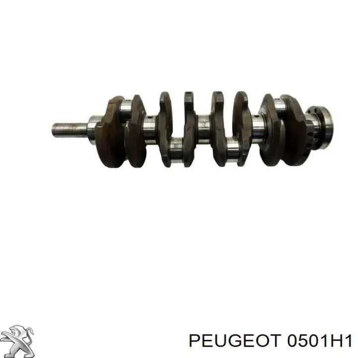 0501H1 Peugeot/Citroen Cambota de motor