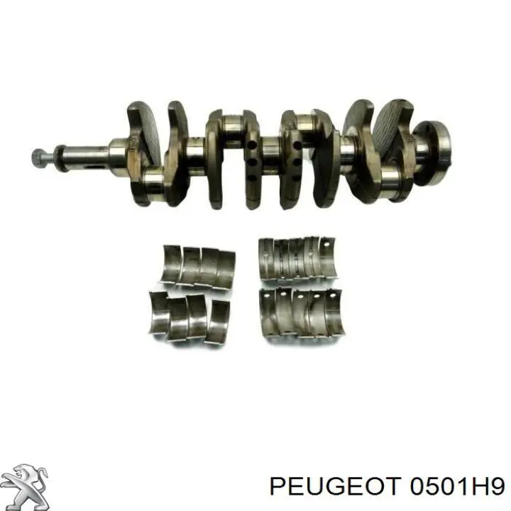 0501H9 Peugeot/Citroen Cambota de motor
