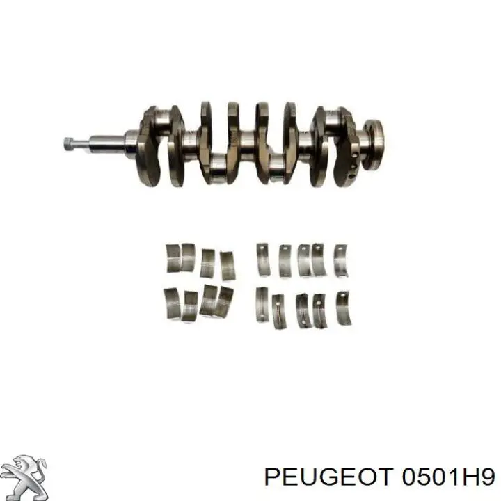 Cambota de motor Peugeot/Citroen 0501H9 preço, a partir de 1463,67 USD