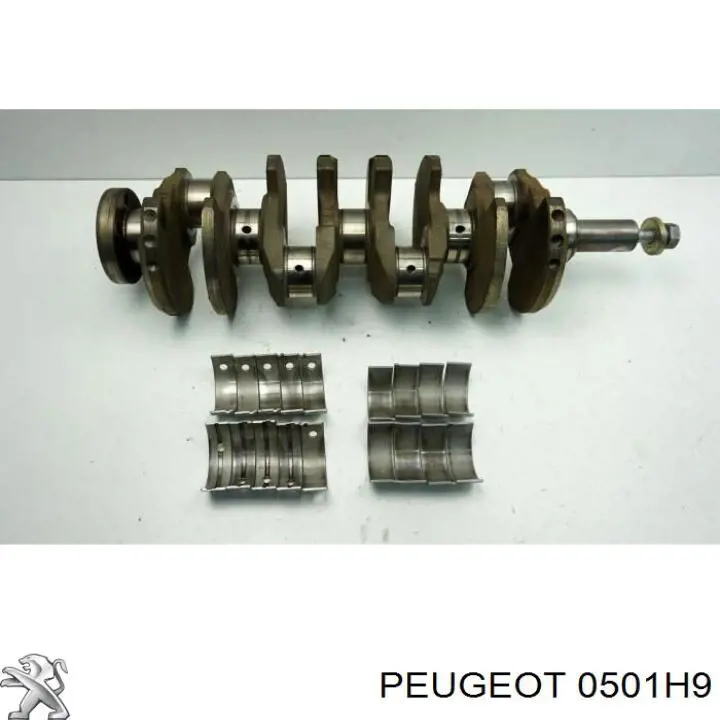 Compre 0501H9 Peugeot/Citroen Cambota de motor