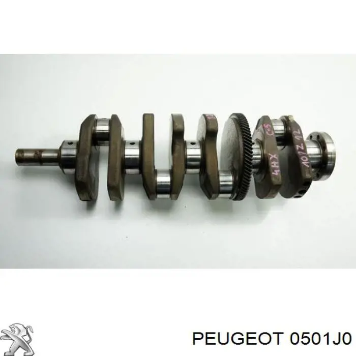 0501J0 Peugeot/Citroen Cambota de motor