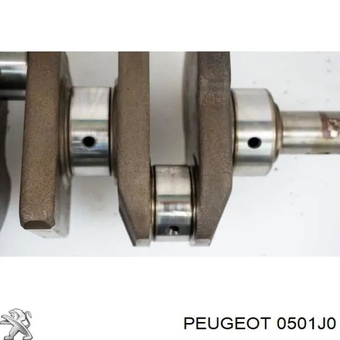 Cambota de motor Peugeot/Citroen 0501J0 preço, a partir de  