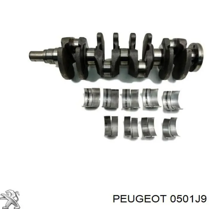 Cambota de motor Citroen Xsara  N2
