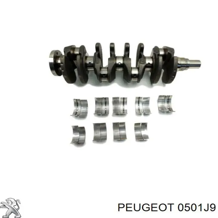  Cambota de motor Citroen Xsara carrinha (N2) (1997 - 2005) 