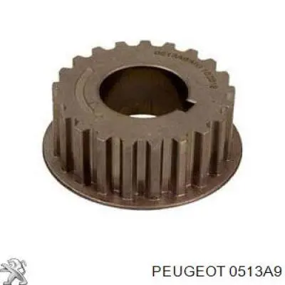 0513A9 Peugeot/Citroen Engrenagem de cadeia da roda dentada de acionamento de cambota de motor