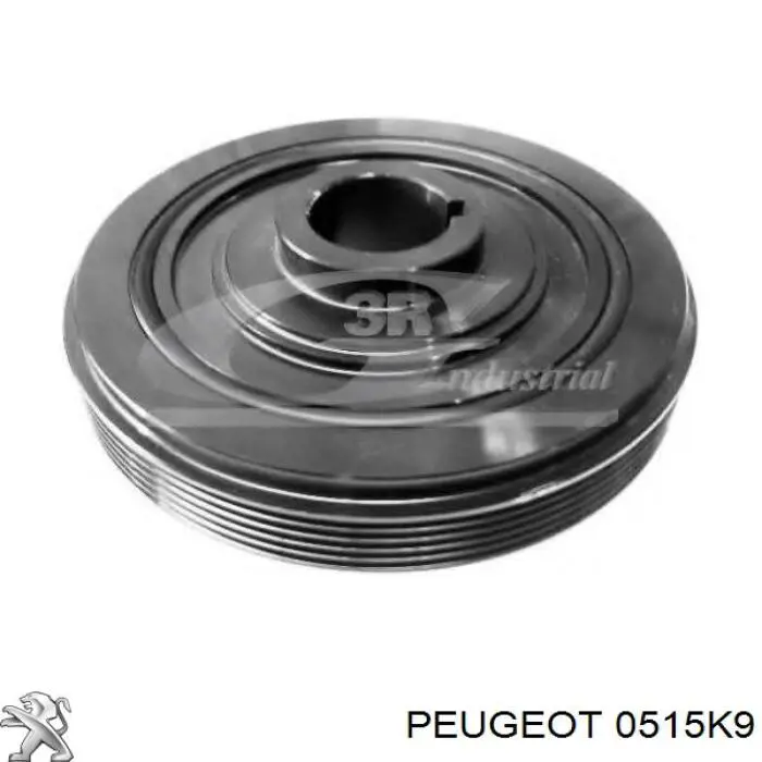 0515K9 Peugeot/Citroen Polia de cambota