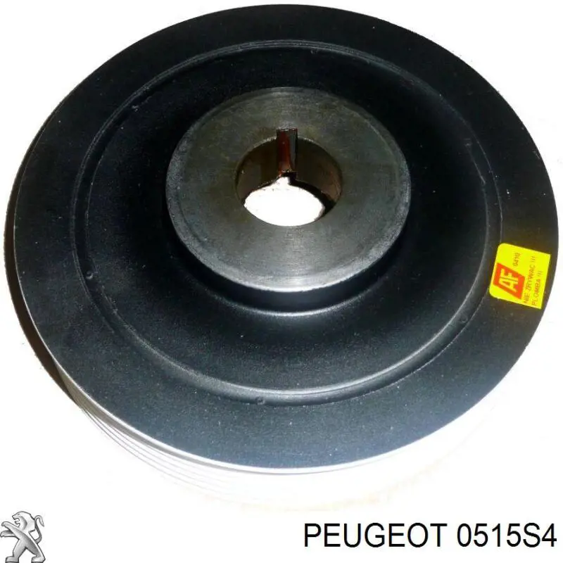 0515S4 Peugeot/Citroen Polia de cambota