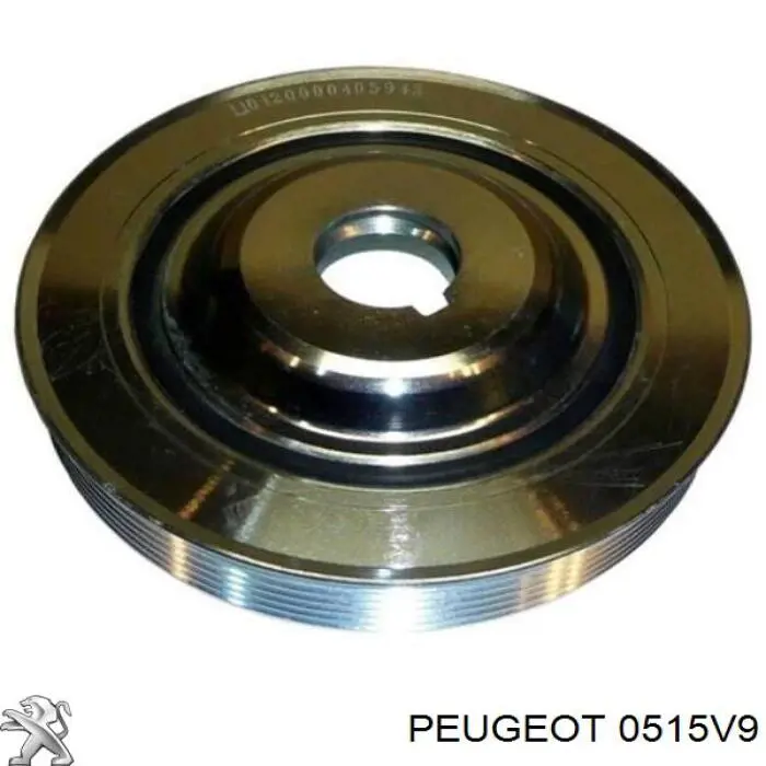 0515V9 Peugeot/Citroen Polia de cambota